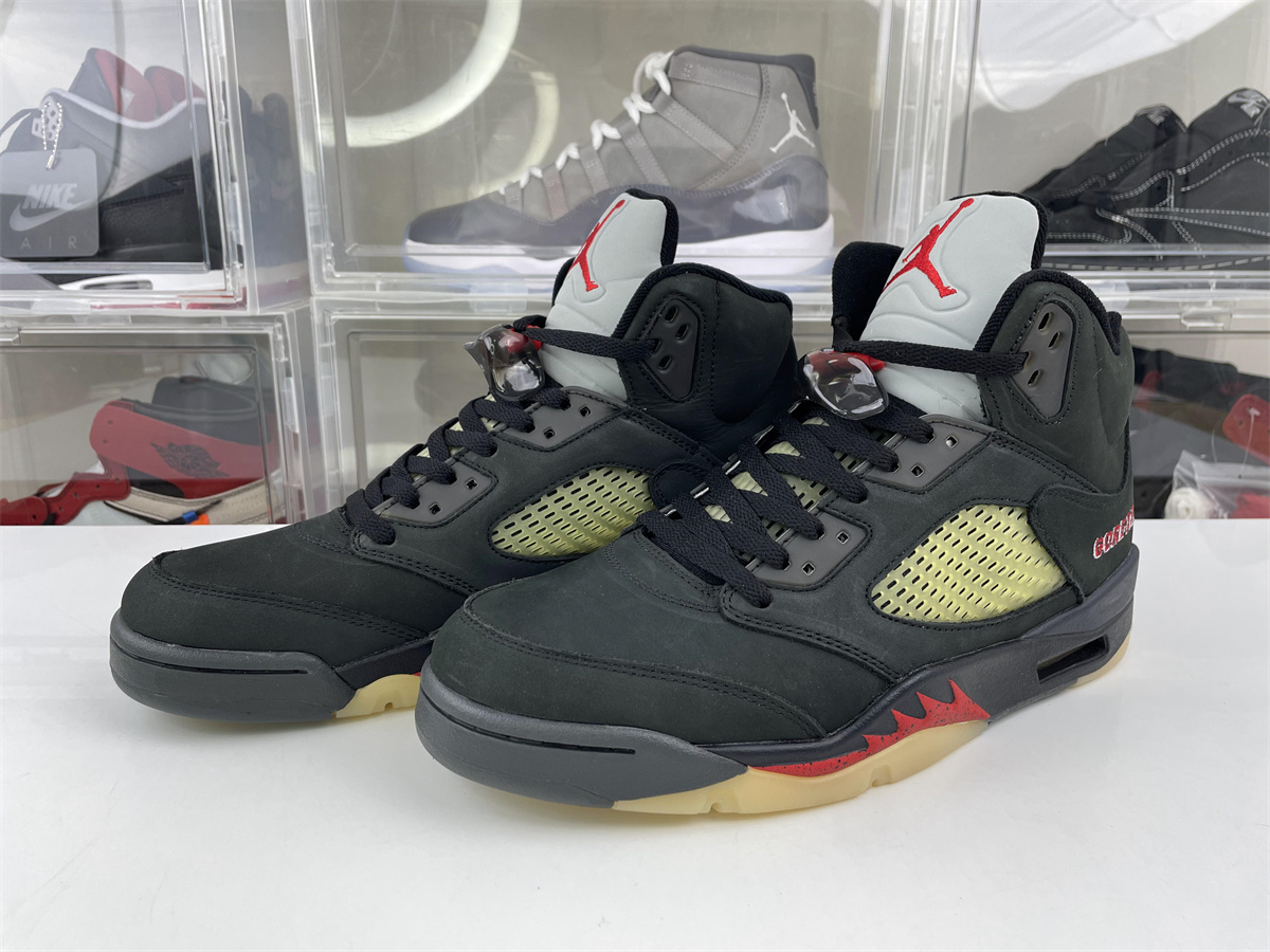 Air Jordan 5 Gore-Tex