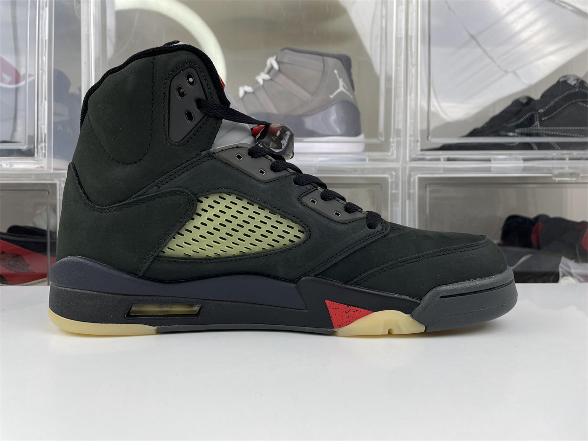Air Jordan 5 Gore-Tex