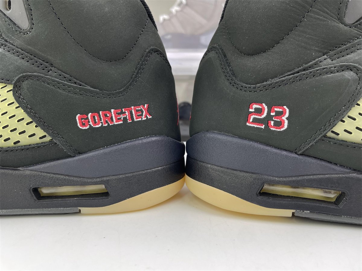 Air Jordan 5 Gore-Tex